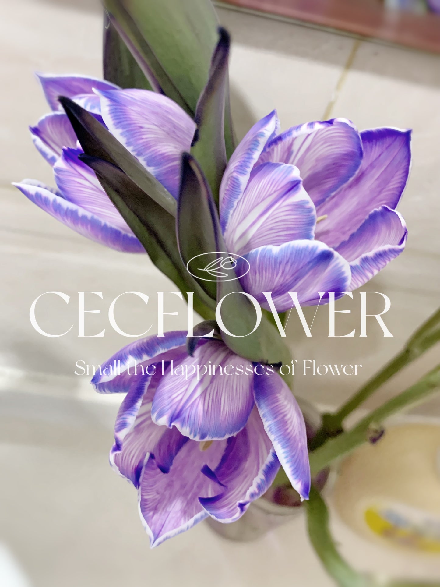 Tailor- Made Color Collection