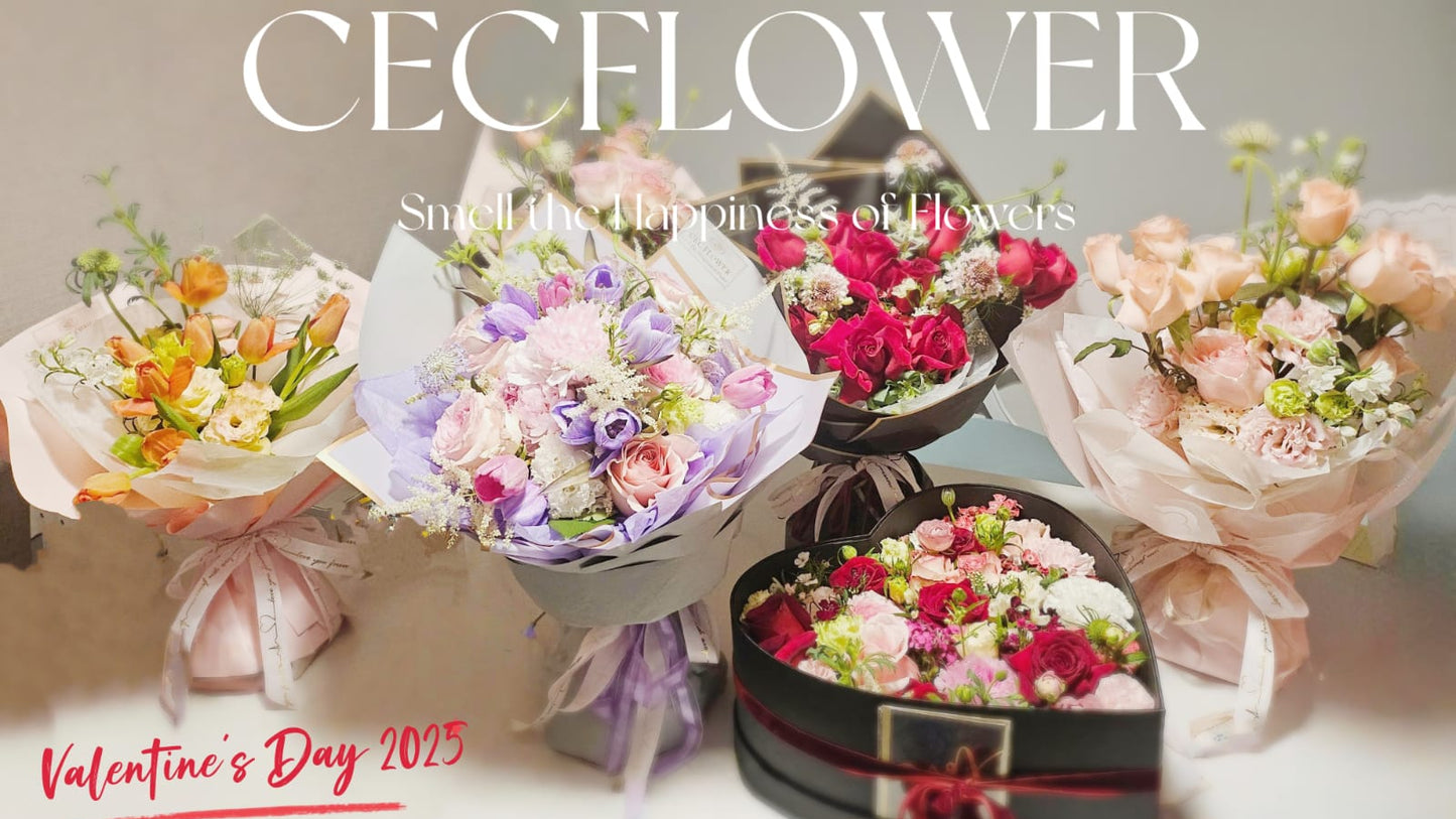 Valentine's Day Collection