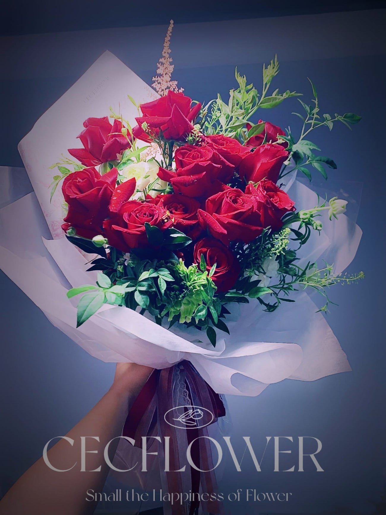 Valentine's Day Collection